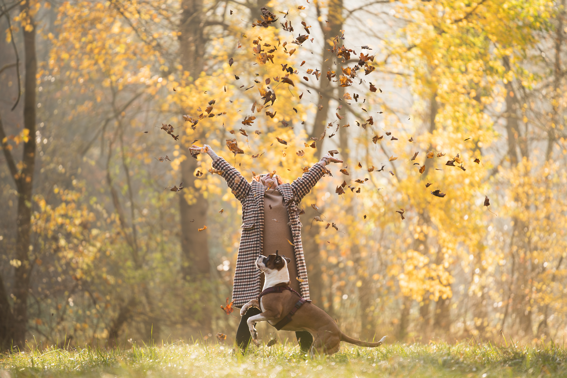 Birgit Frieda Meyer wirft im Herbstwald Laub in die Luft, ihr Hund springt freudig hoch