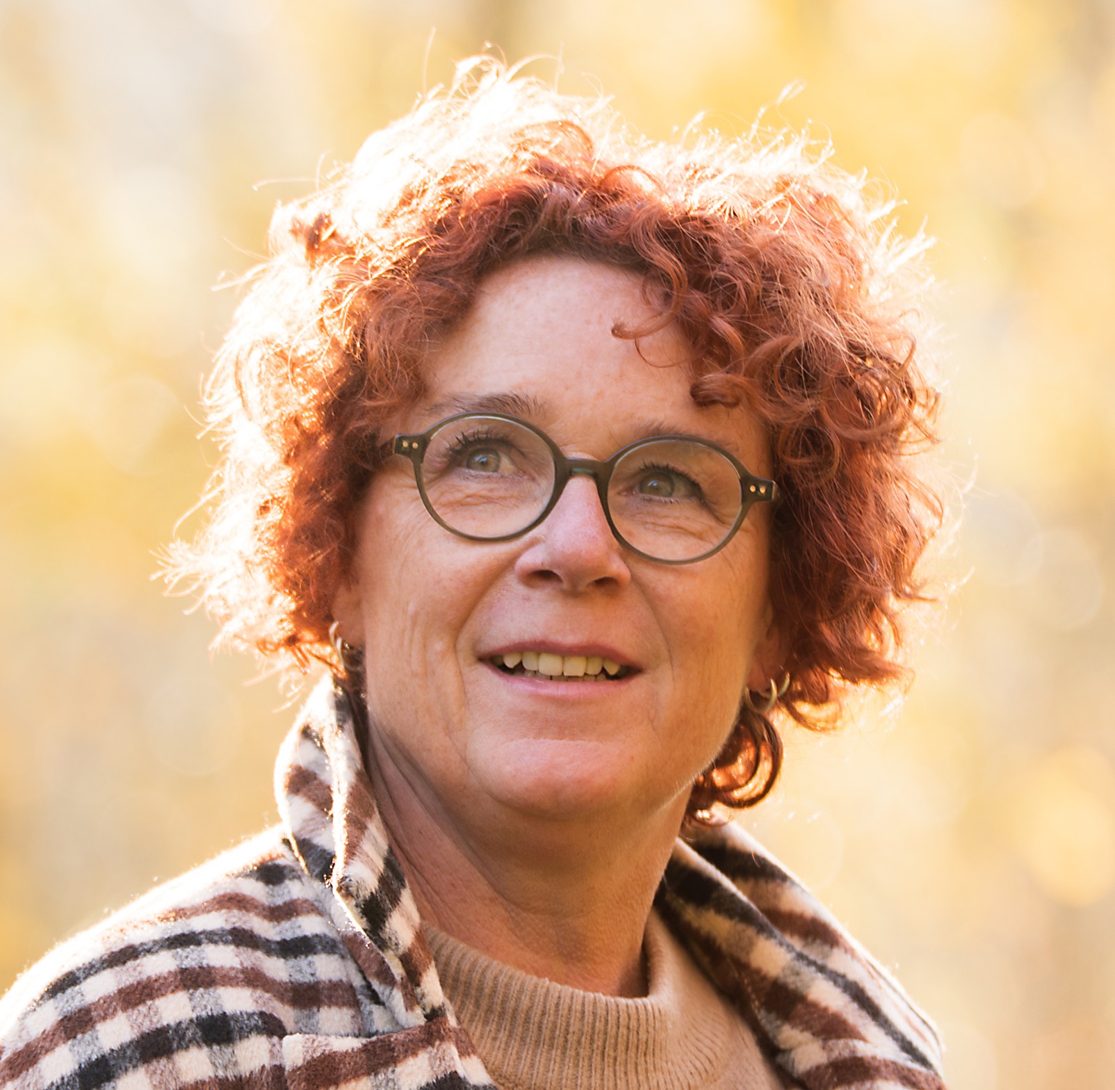Birgit Frieda Meyer